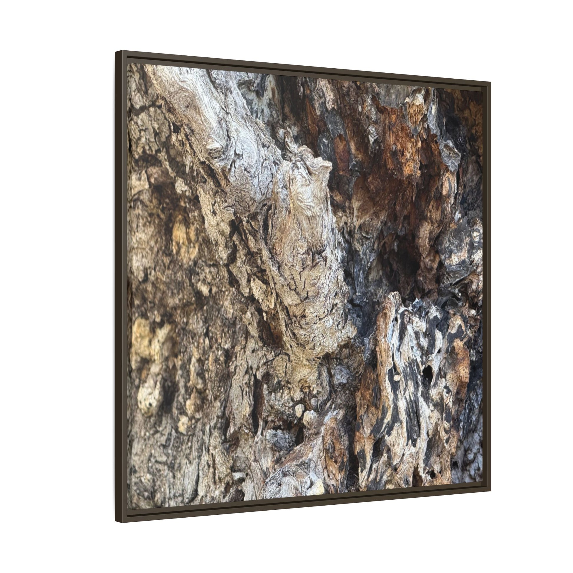 Ancient Tree Texture - Unique Stretched Canvas Wall Art - Art By Earth