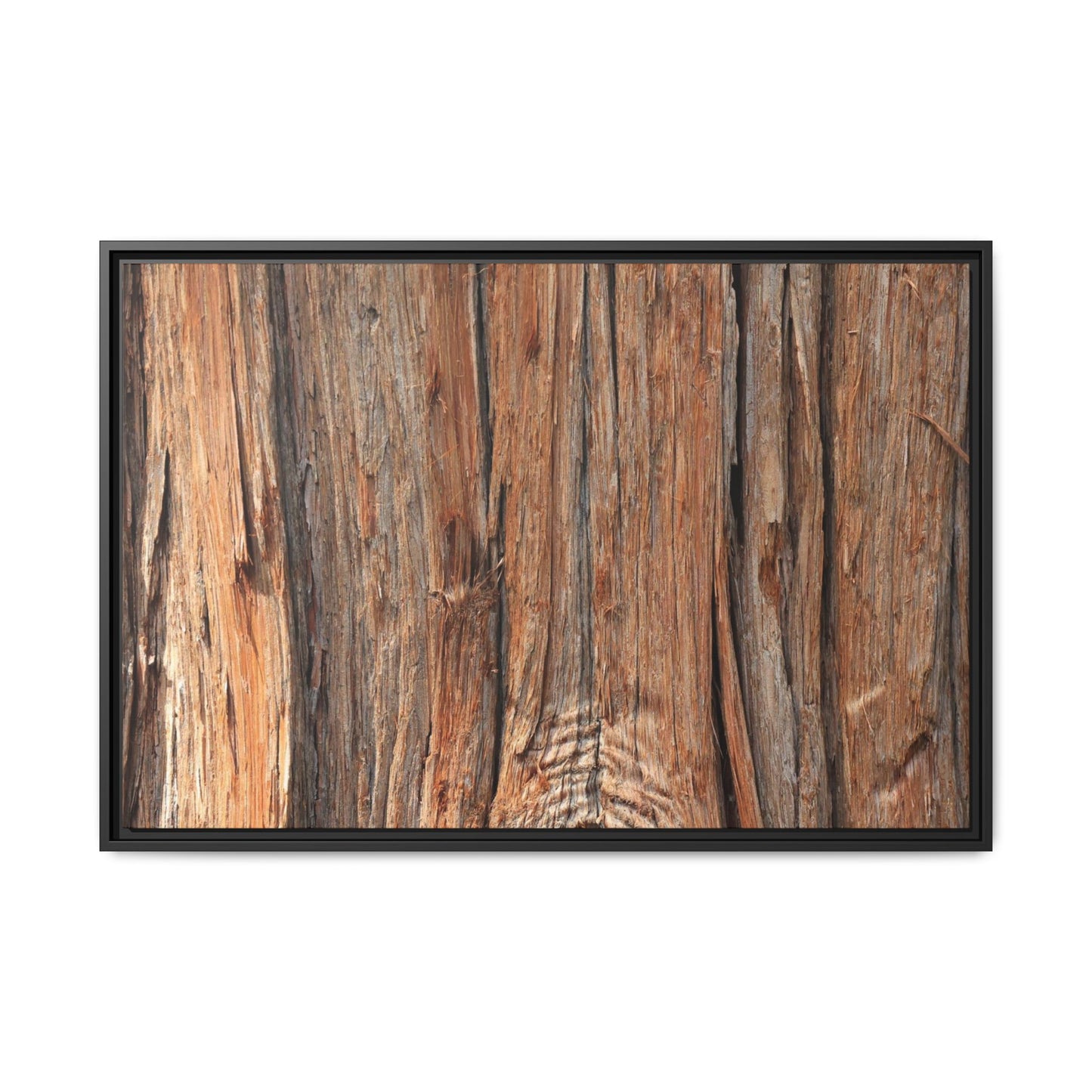Echoes of Timber - Unique Stretched Canvas Wall Art - Art By Earth