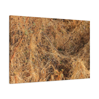 Dried Grasses - Unique Frameless Canvas Wall Art - Art By Earth