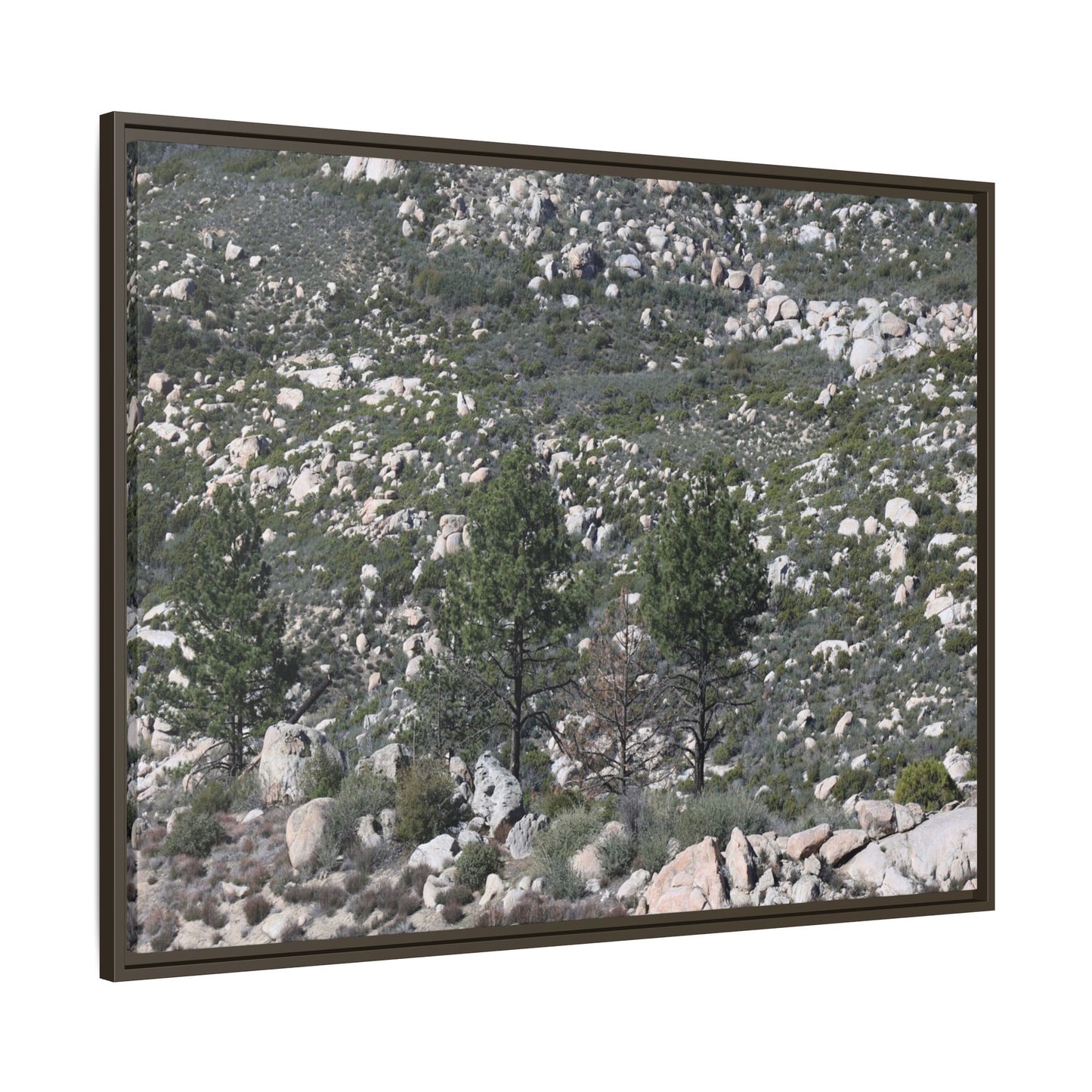 Rocky Hillside with Pine Trees - Unique Stretched Canvas Wall Art - Art By Earth