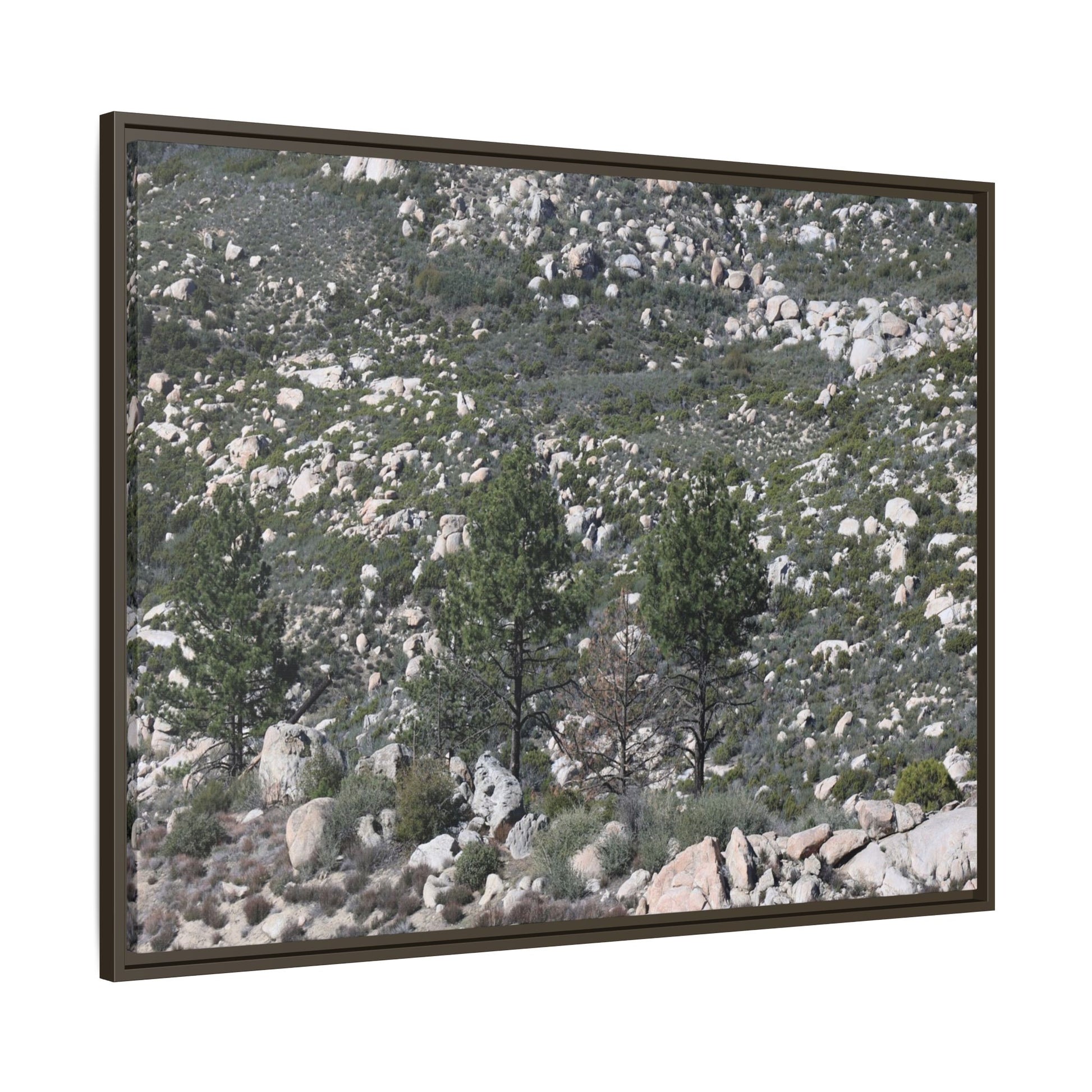 Rocky Hillside with Pine Trees - Unique Stretched Canvas Wall Art - Art By Earth