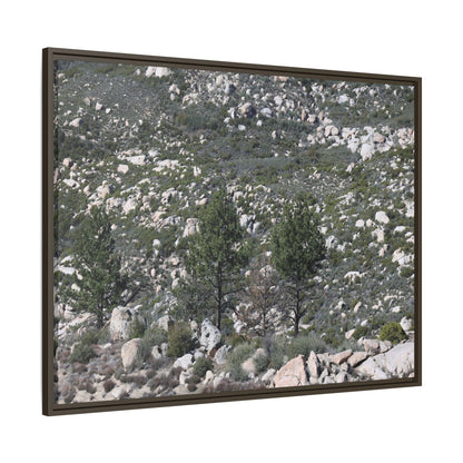 Rocky Hillside with Pine Trees - Unique Stretched Canvas Wall Art - Art By Earth