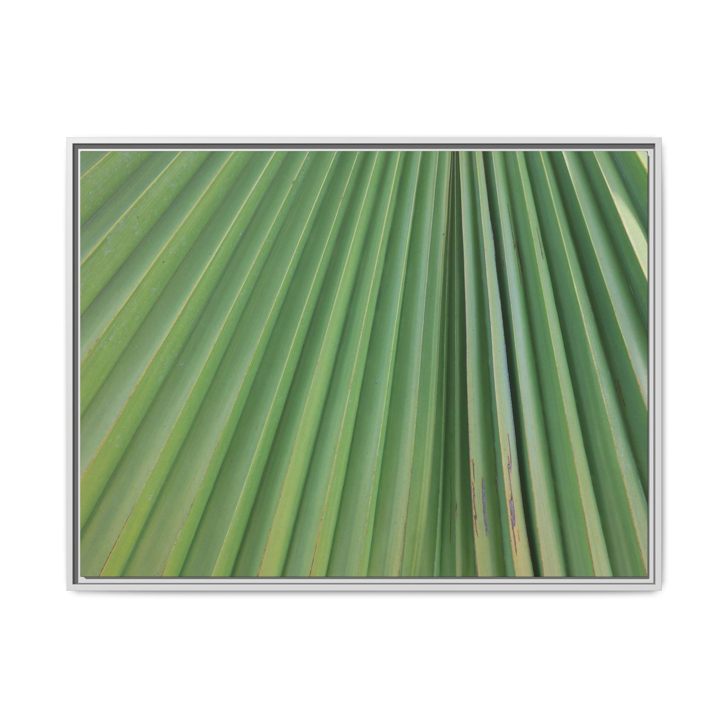 Emerald Rays - Unique Stretched Canvas Wall Art - Art By Earth