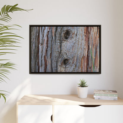 Knotty Nature - Unique Stretched Canvas Wall Art - Art By Earth