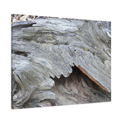 Whispers of Ancient Wood - Unique Frameless Canvas Wall Art - Art By Earth