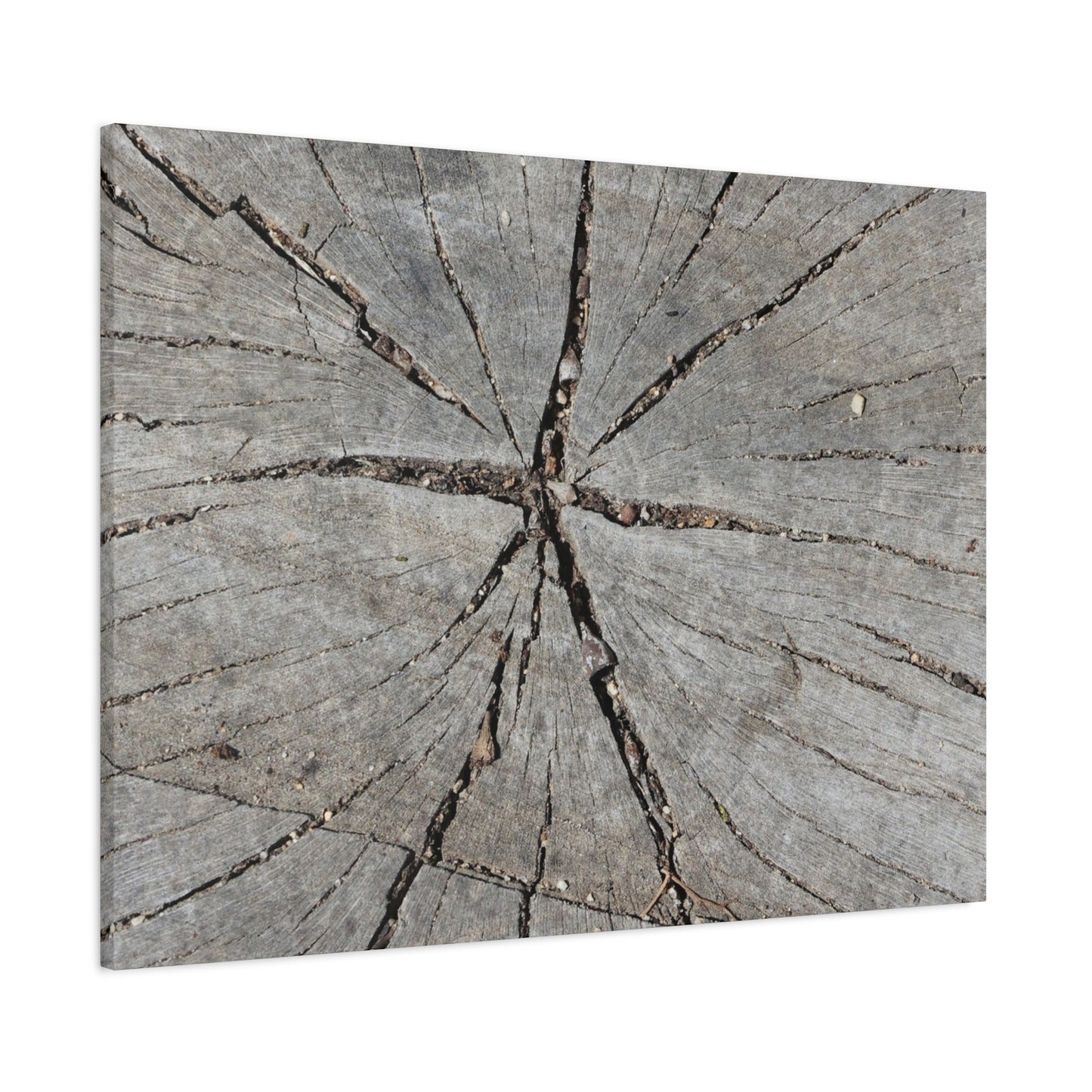Cracked Chronicle - Unique Frameless Canvas Wall Art - Art By Earth