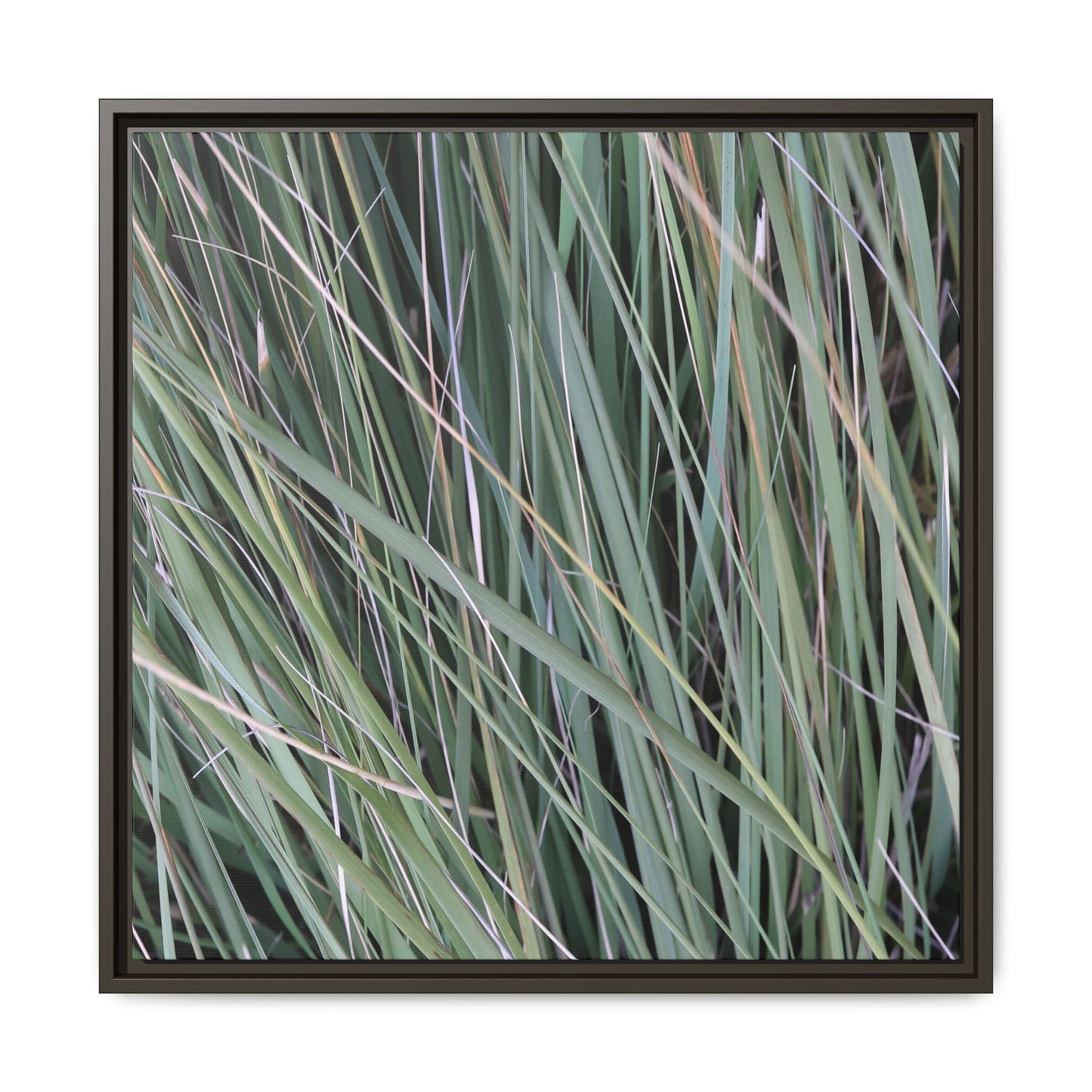 Grassland Symphony - Unique Stretched Canvas Wall Art - Art By Earth