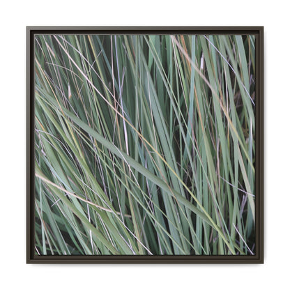 Grassland Symphony - Unique Stretched Canvas Wall Art - Art By Earth