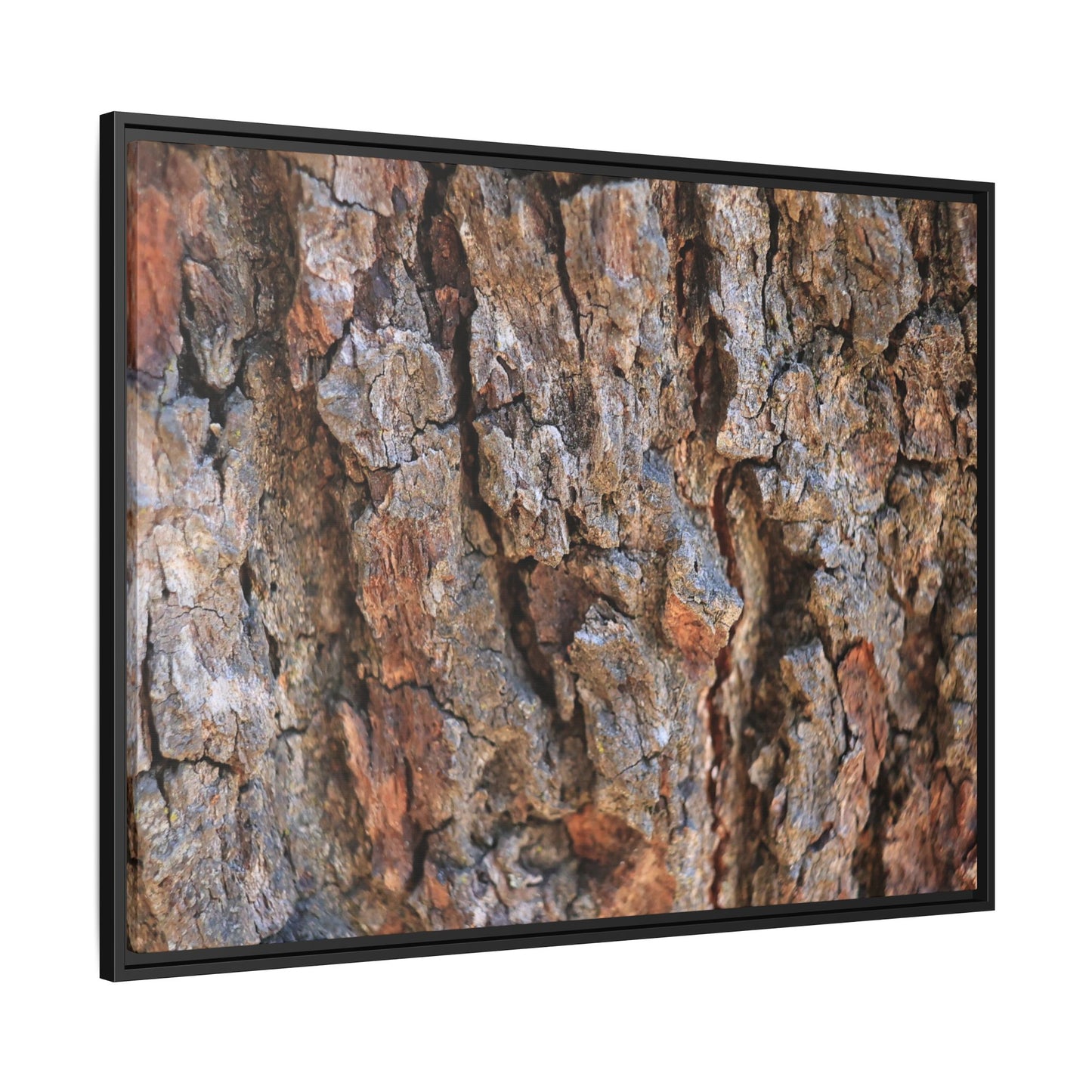 Craggy Textures - Unique Stretched Canvas Wall Art - Art By Earth