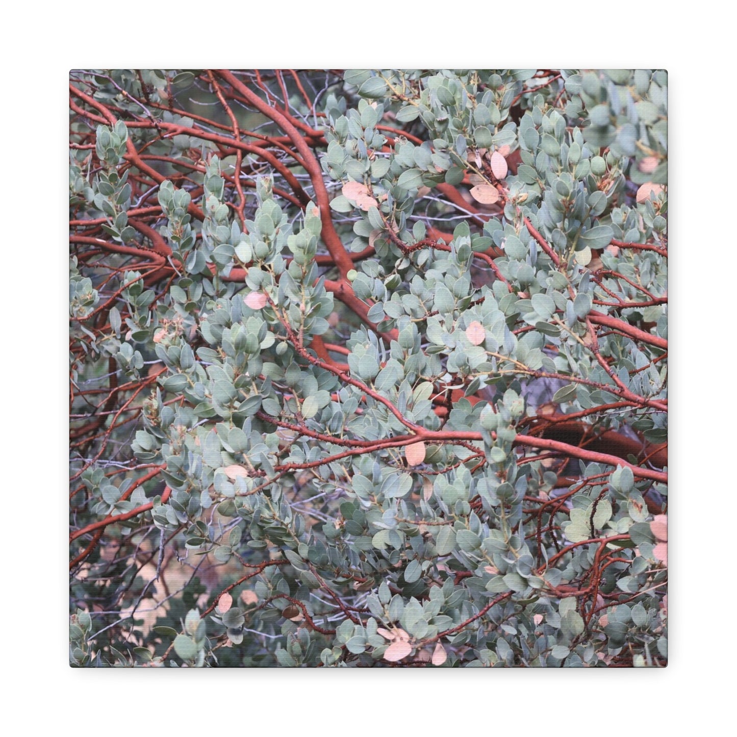 Whispers of Silver and Rust - Unique Frameless Canvas Wall Art - Art By Earth