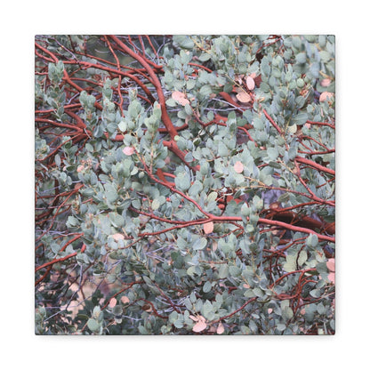 Whispers of Silver and Rust - Unique Frameless Canvas Wall Art - Art By Earth