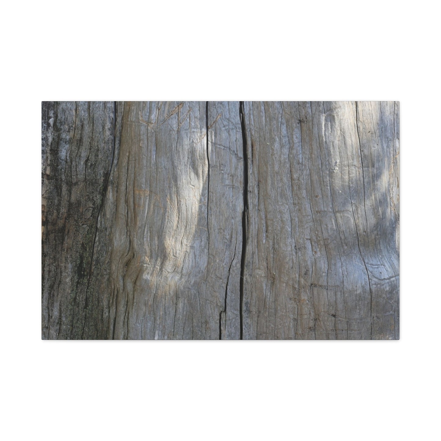 Split Log - Unique Frameless Canvas Wall Art