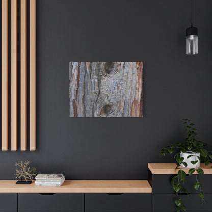 Wooden Memoir - Unique Frameless Canvas Wall Art - Art By Earth