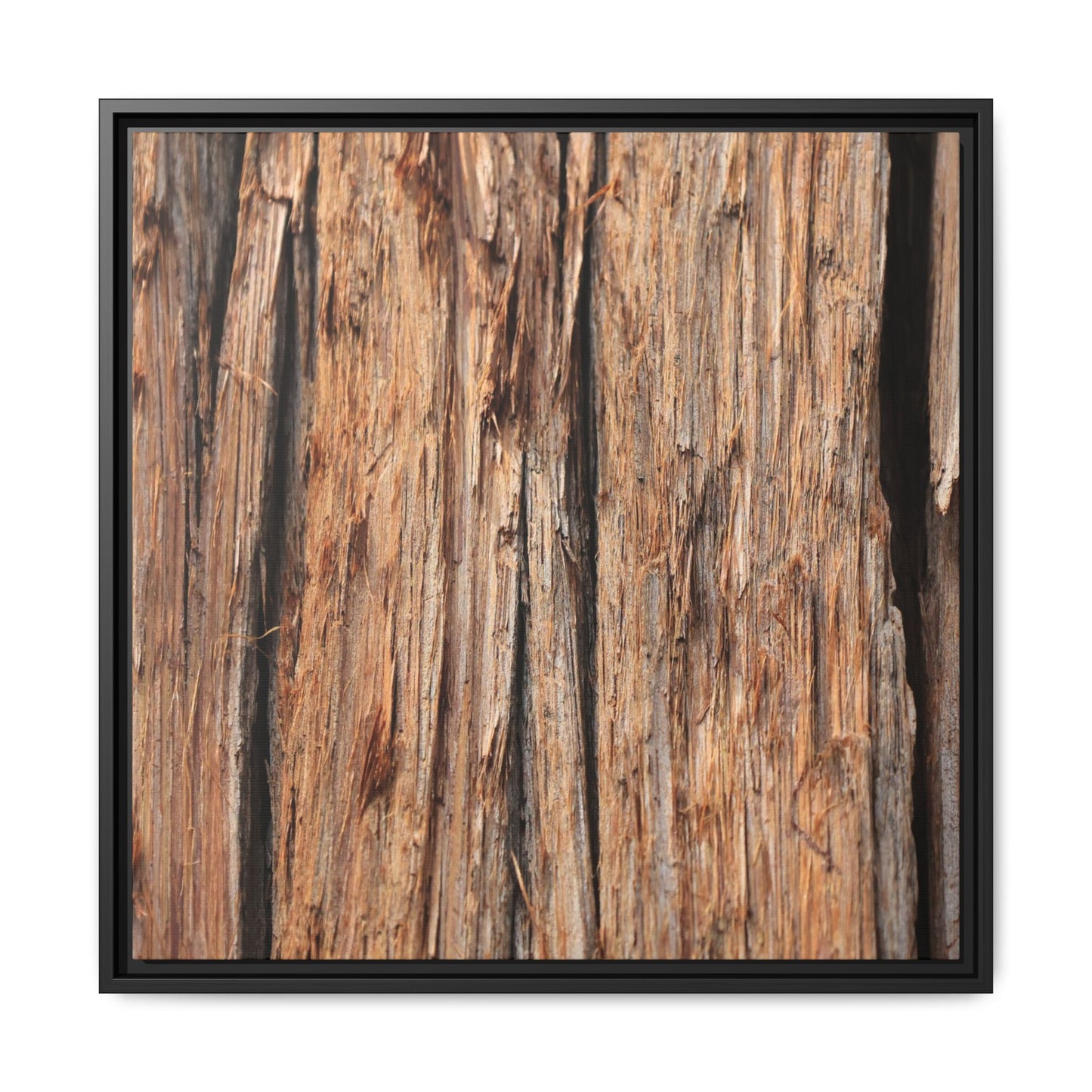 Timber Echoes - Unique Stretched Canvas Wall Art - Art By Earth