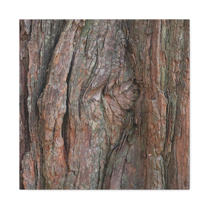 Rustic Embrace - Unique Frameless Canvas Wall Art - Art By Earth