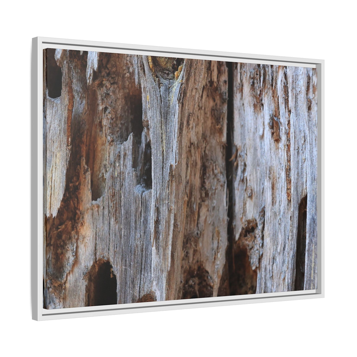 Decaying Splendor - Unique Stretched Canvas Wall Art - Art By Earth