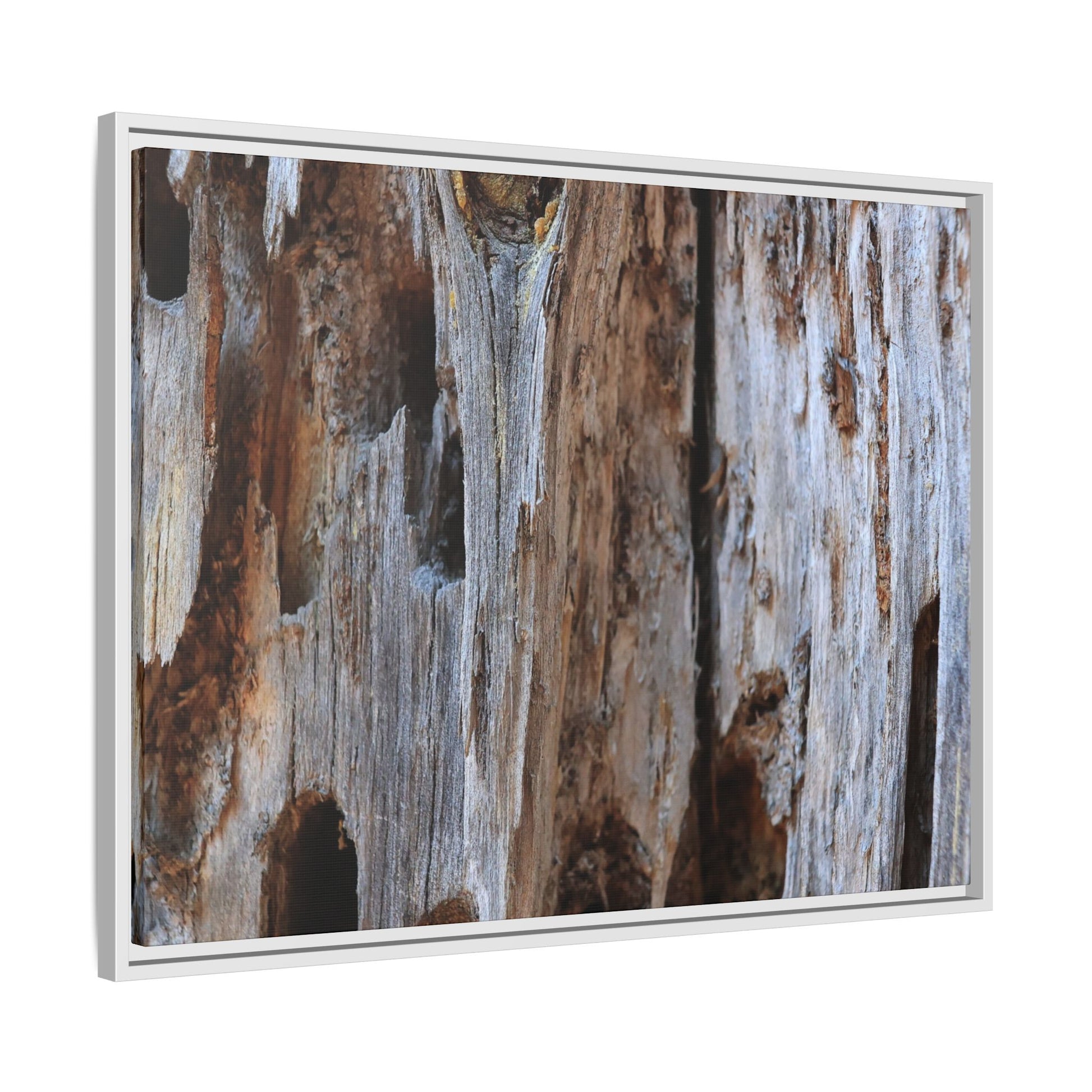 Decaying Splendor - Unique Stretched Canvas Wall Art - Art By Earth