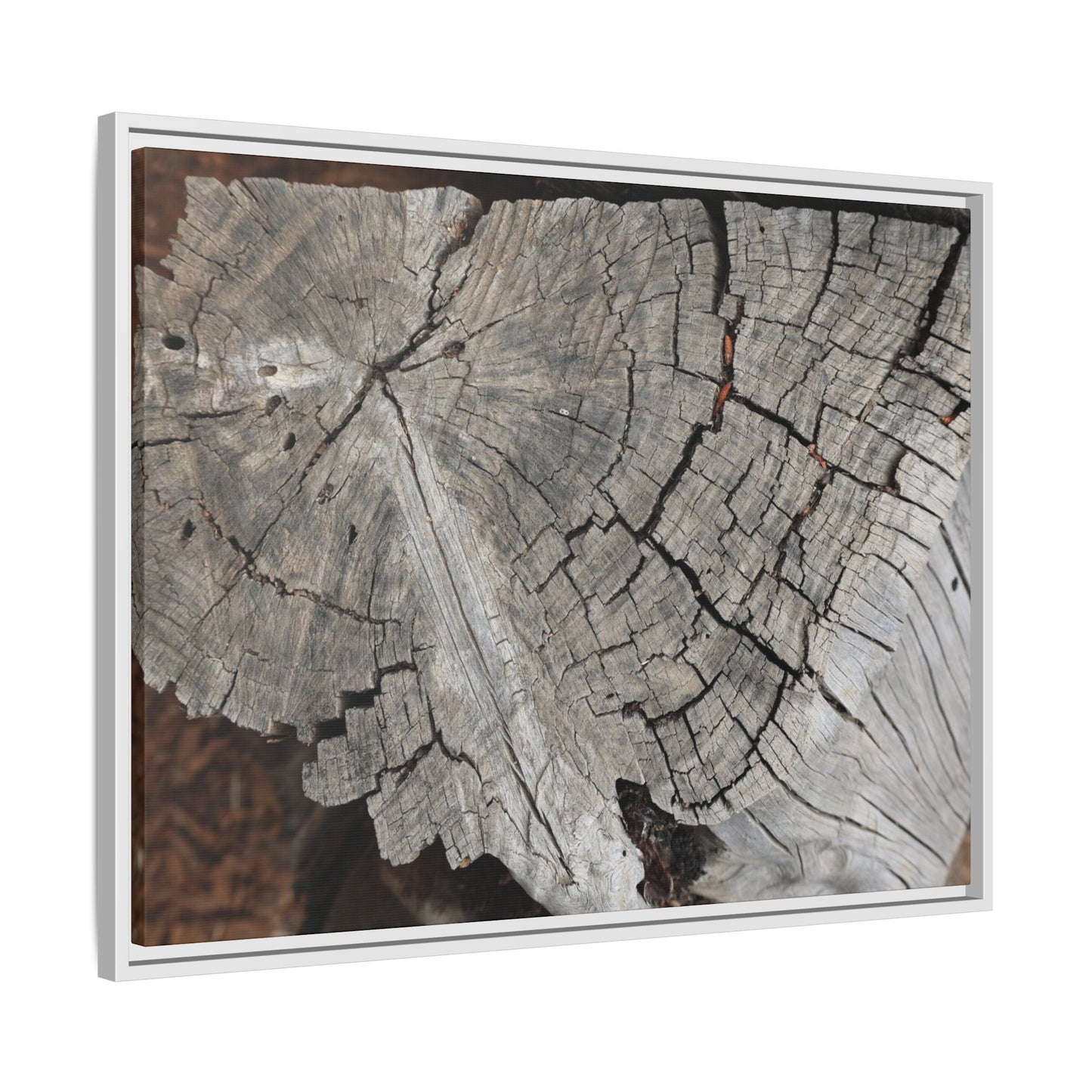 Time's Signature - Unique Stretched Canvas Wall Art - Art By Earth