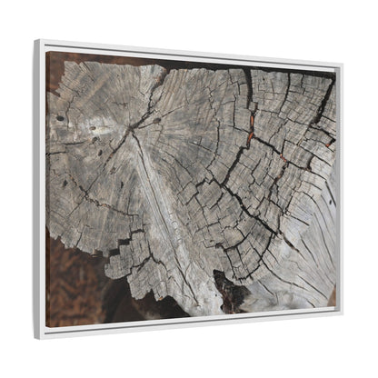 Time's Signature - Unique Stretched Canvas Wall Art - Art By Earth