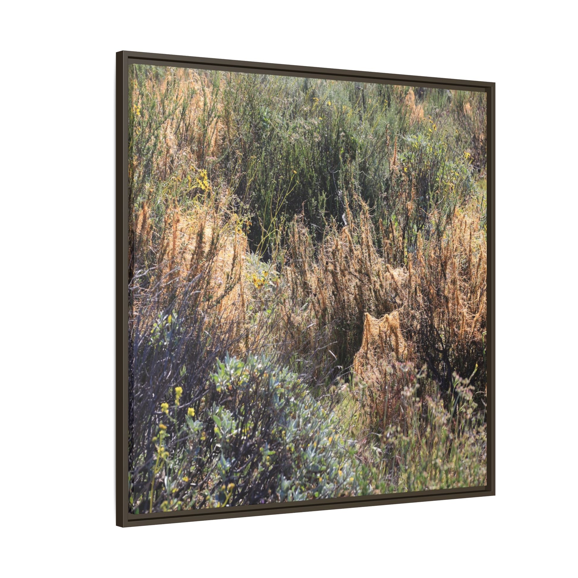 Drought-Stricken Landscape - Unique Stretched Canvas Wall Art - Art By Earth