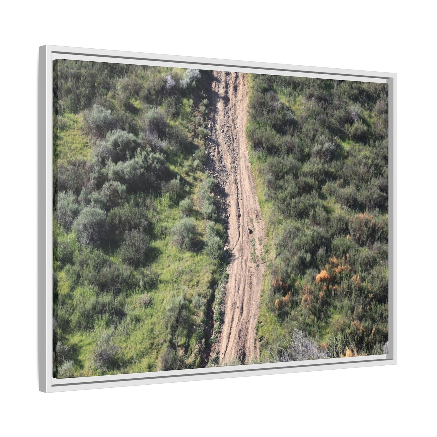 Desert Path Through Sage - Unique Stretched Canvas Wall Art - Art By Earth