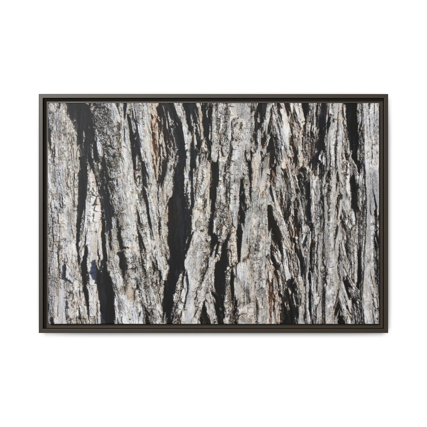 Bark Lines - Unique Stretched Canvas Wall Art - Art By Earth