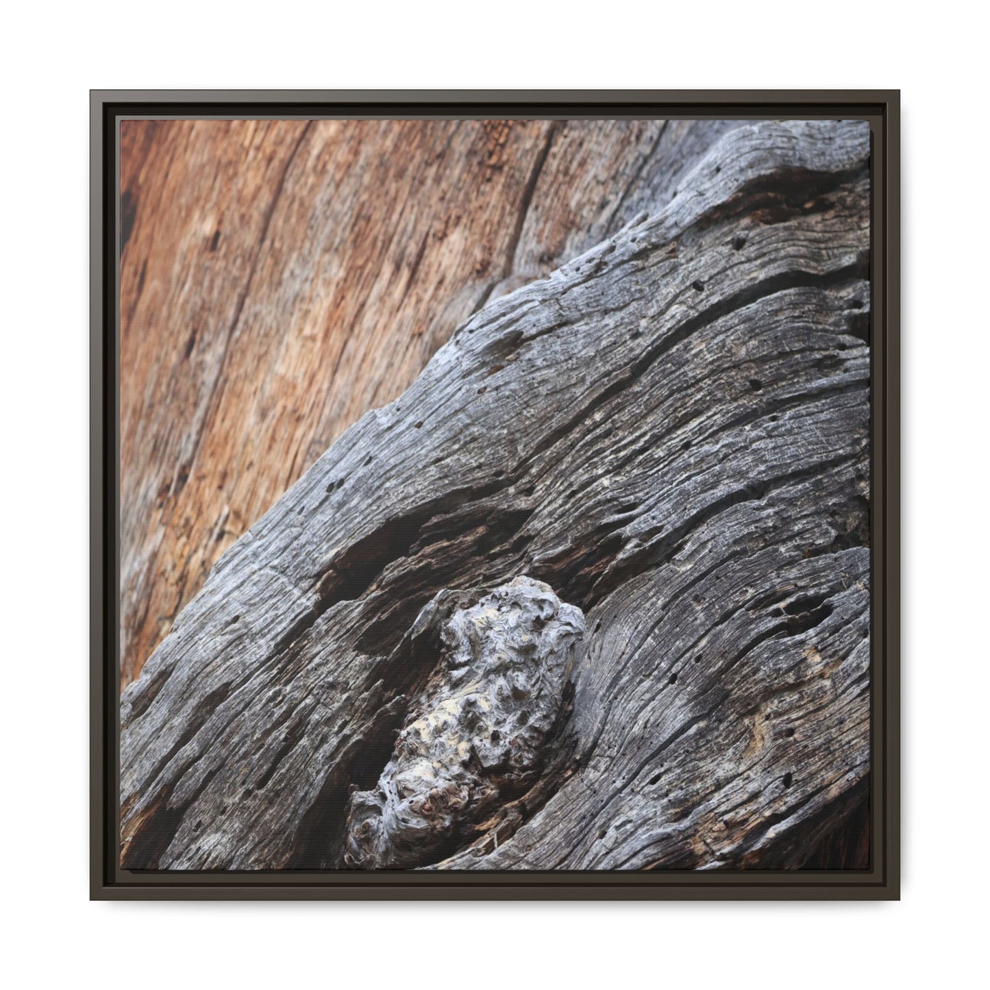 Time's Mark on Timber - Unique Stretched Canvas Wall Art - Art By Earth