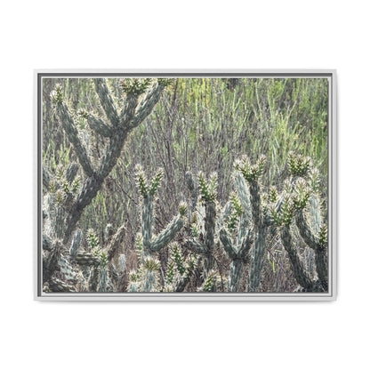 Prickly Paradise - Unique Stretched Canvas Wall Art - Art By Earth