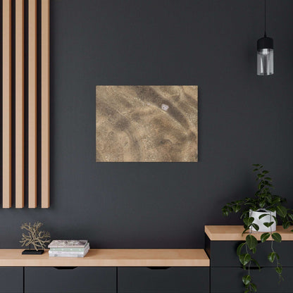 Sandy Shore Impressions - Unique Frameless Canvas Wall Art - Art By Earth