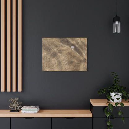 Sandy Shore Impressions - Unique Frameless Canvas Wall Art - Art By Earth