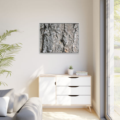 Crusty Exterior - Unique Stretched Canvas Wall Art - Art By Earth