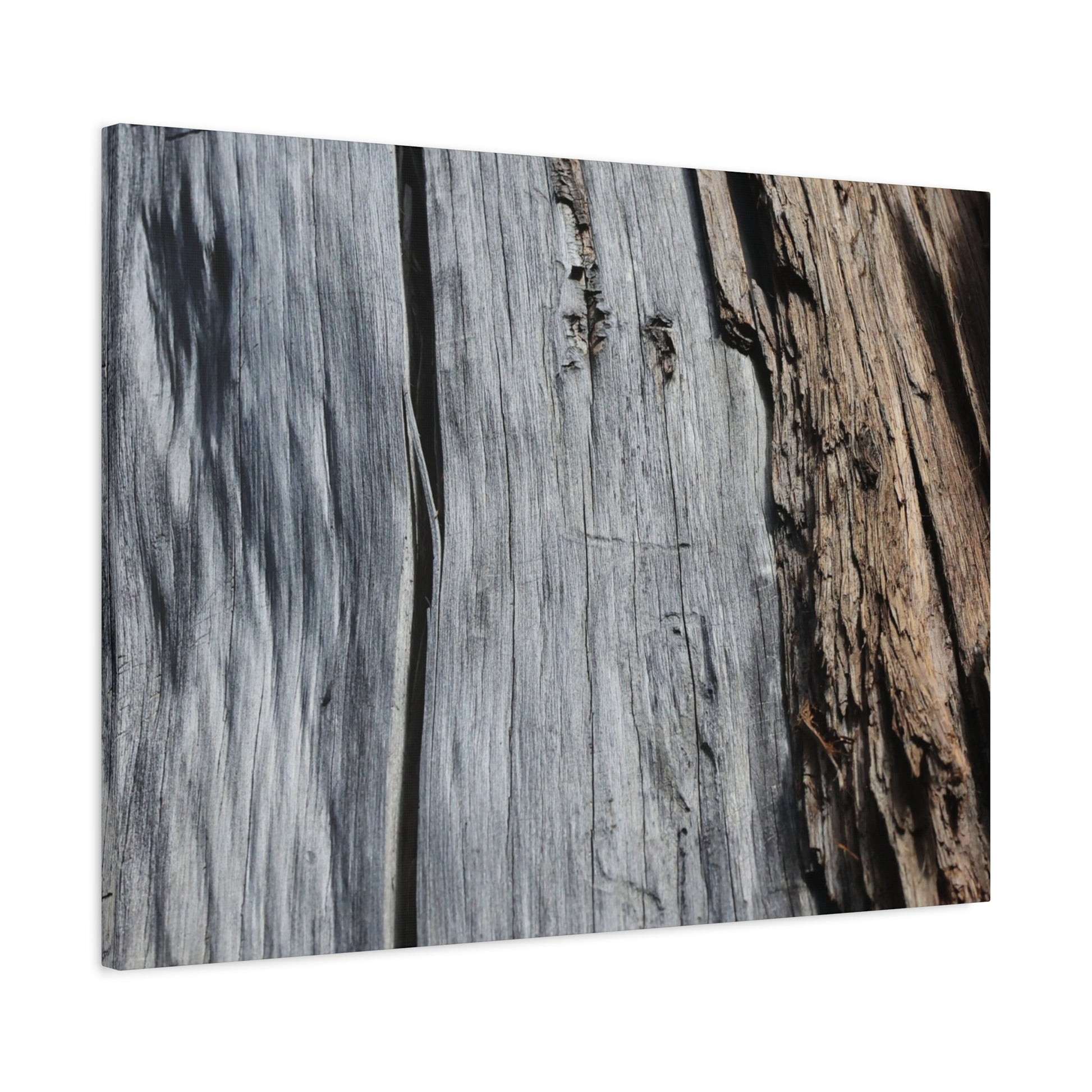 Fracture Lines - Unique Frameless Canvas Wall Art - Art By Earth