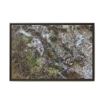 Mossy Whispers - Unique Stretched Canvas Wall Art - Art By Earth