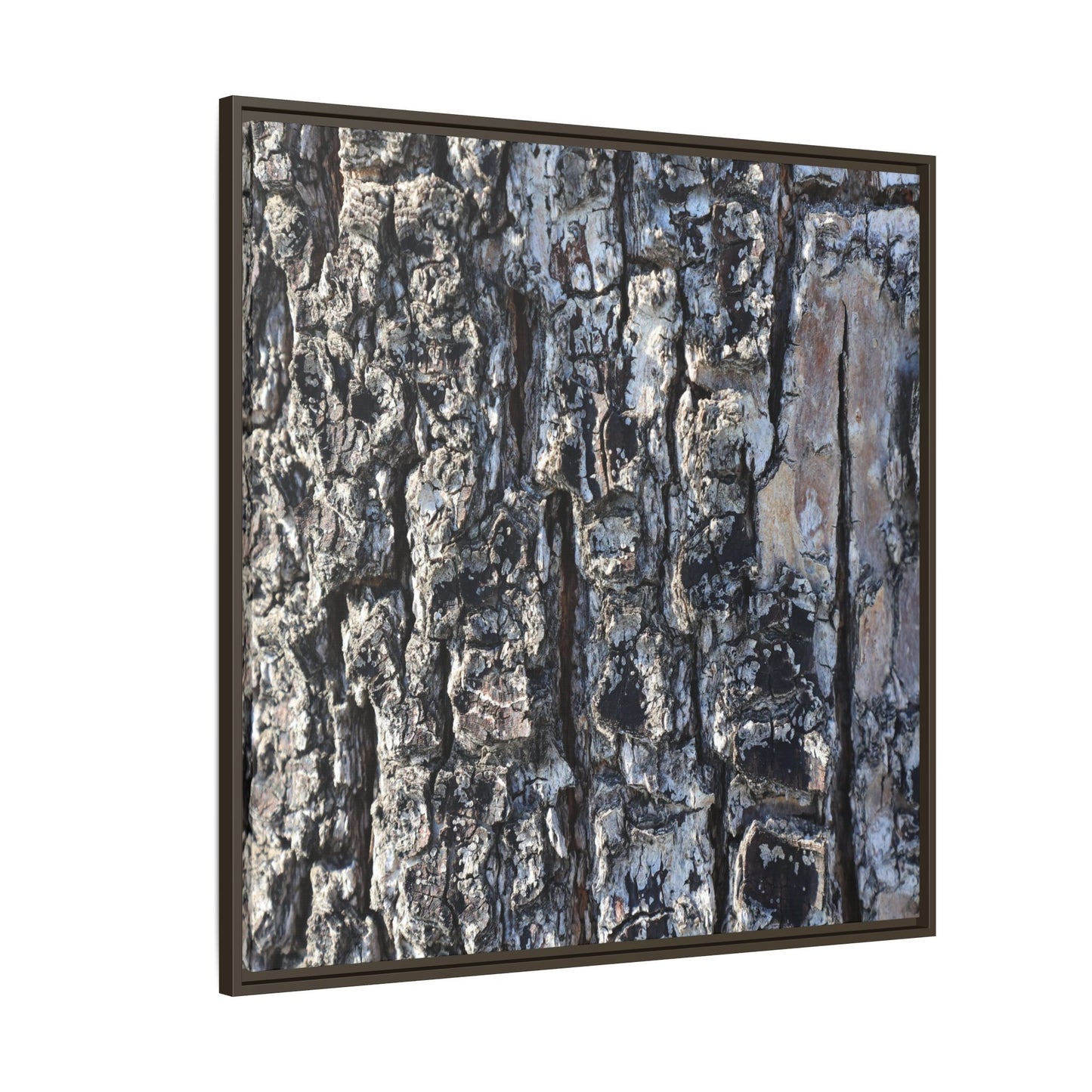 The Bark Chronicles - Unique Stretched Canvas Wall Art - Art By Earth