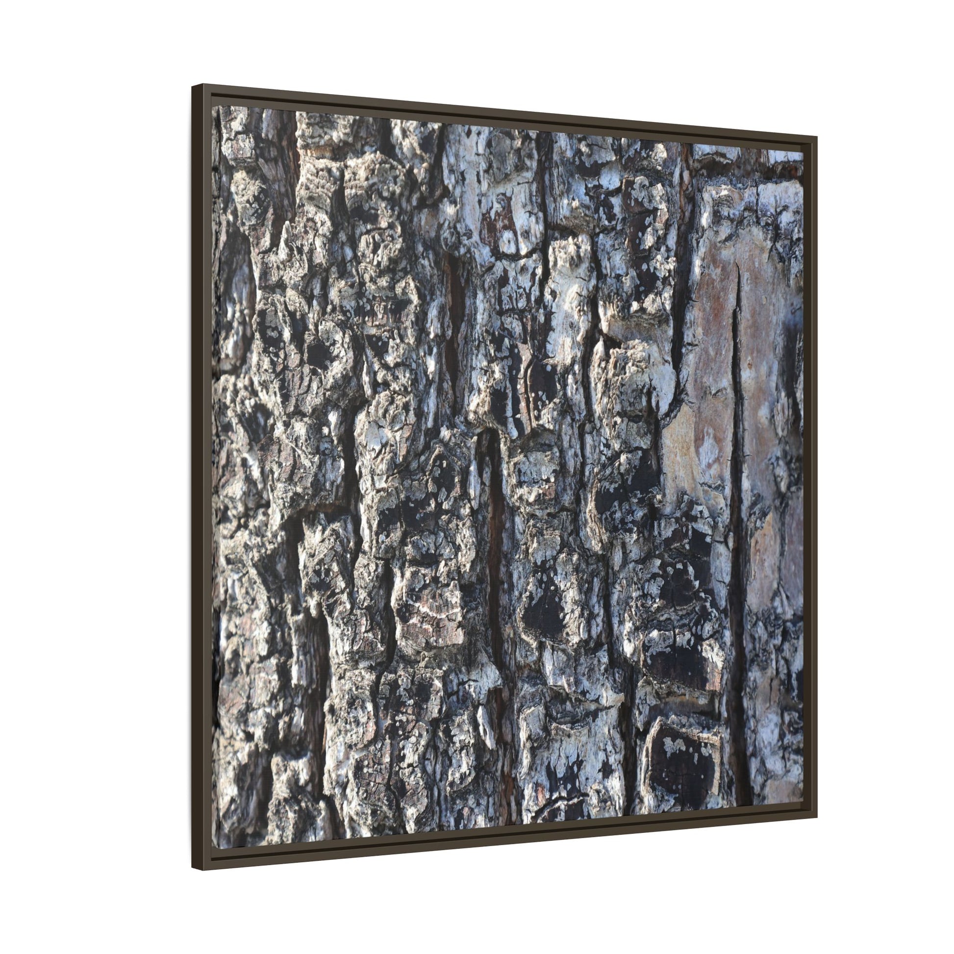 The Bark Chronicles - Unique Stretched Canvas Wall Art - Art By Earth