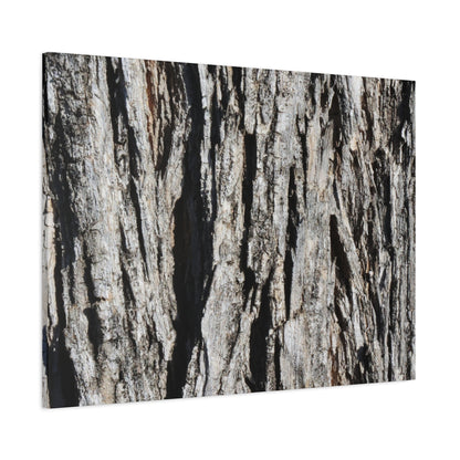Bark Textures in Monochrome - Unique Frameless Canvas Wall Art - Art By Earth