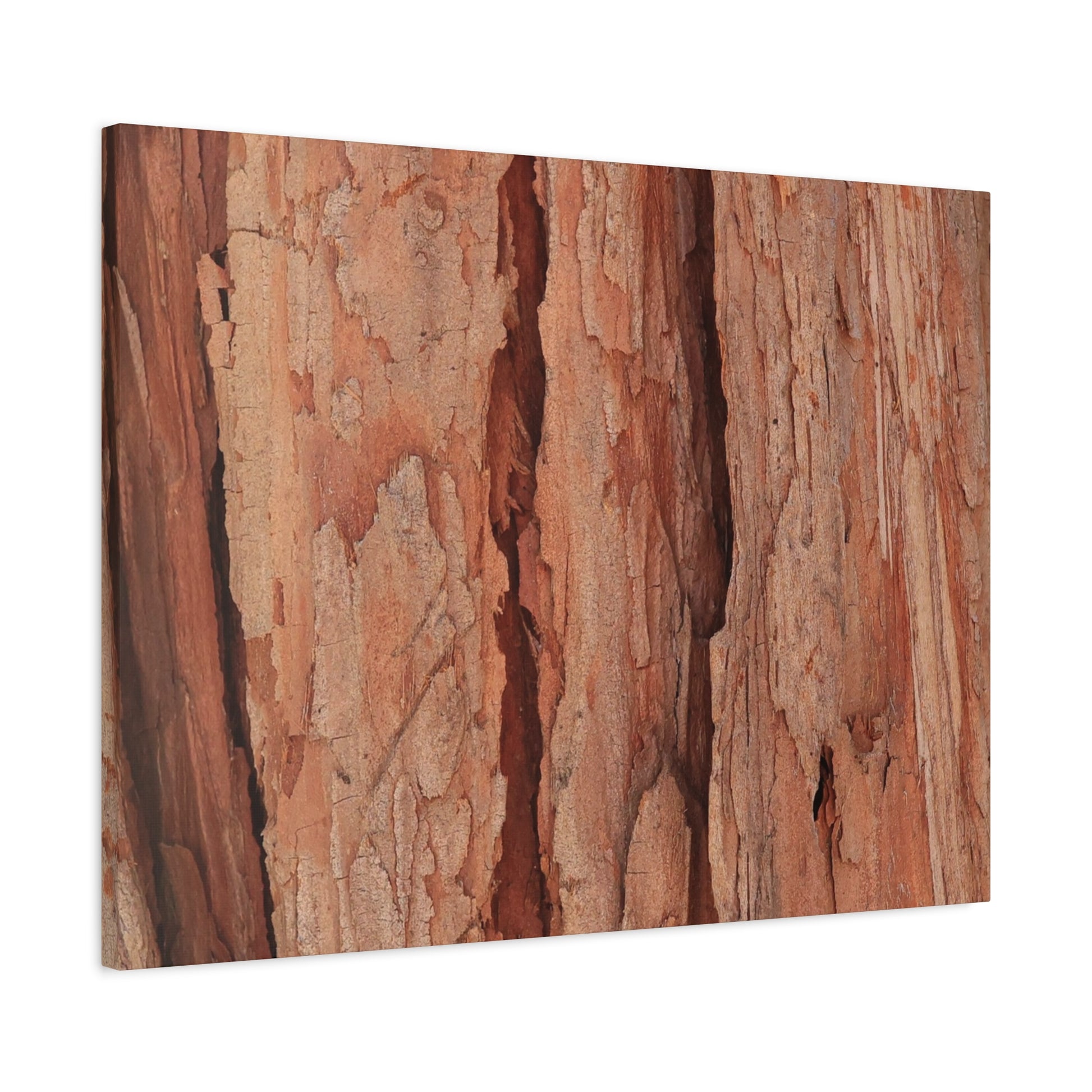Bark Layers of Time - Unique Frameless Canvas Wall Art - Art By Earth
