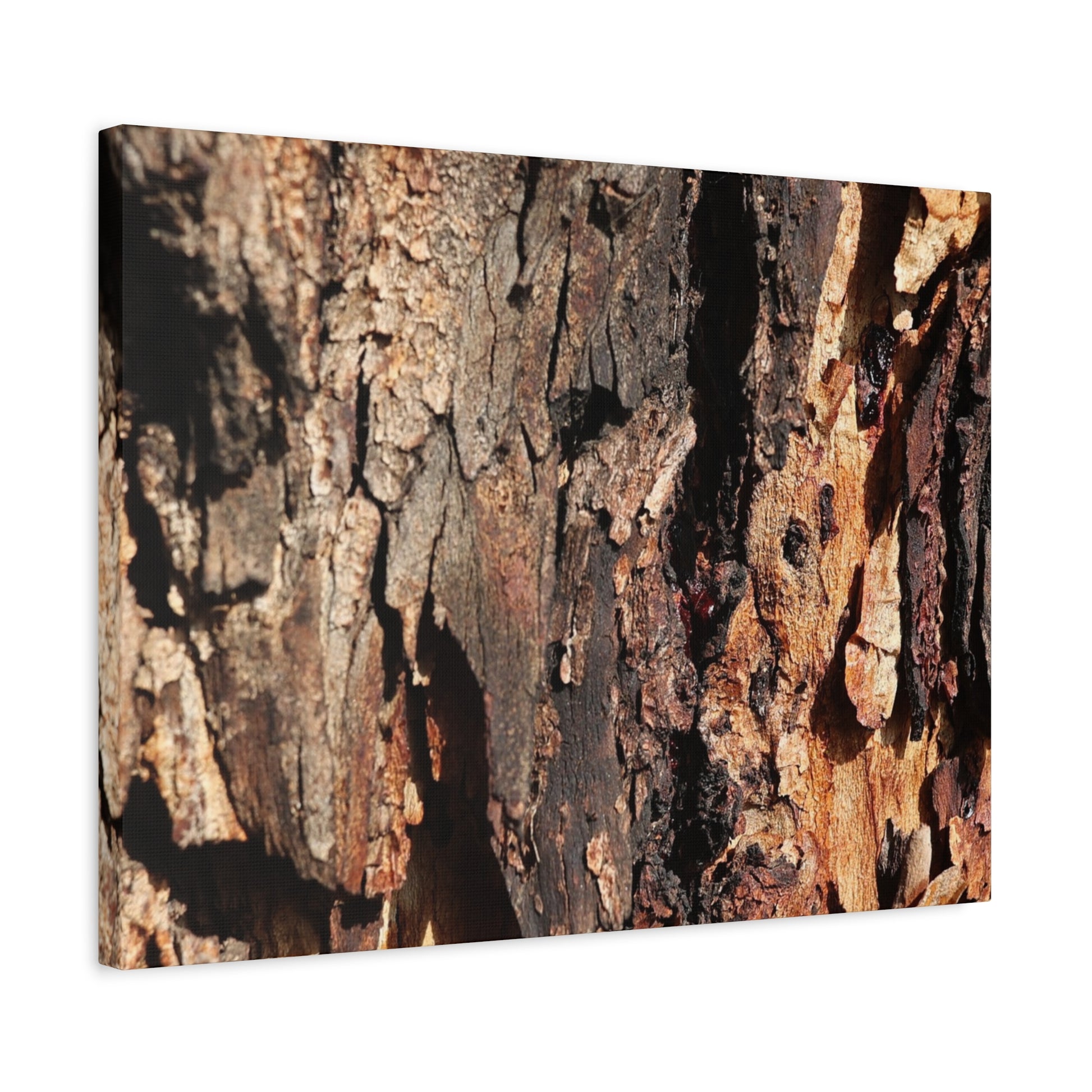 Wooden Terrain - Unique Frameless Canvas Wall Art - Art By Earth