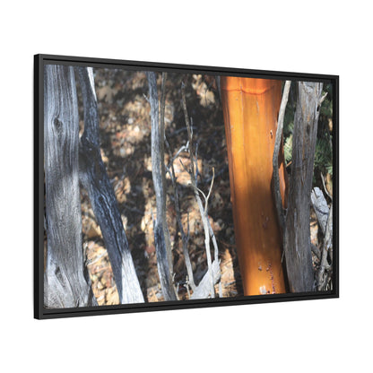 Burnt Trees and Golden Trunk - Unique Stretched Canvas Wall Art