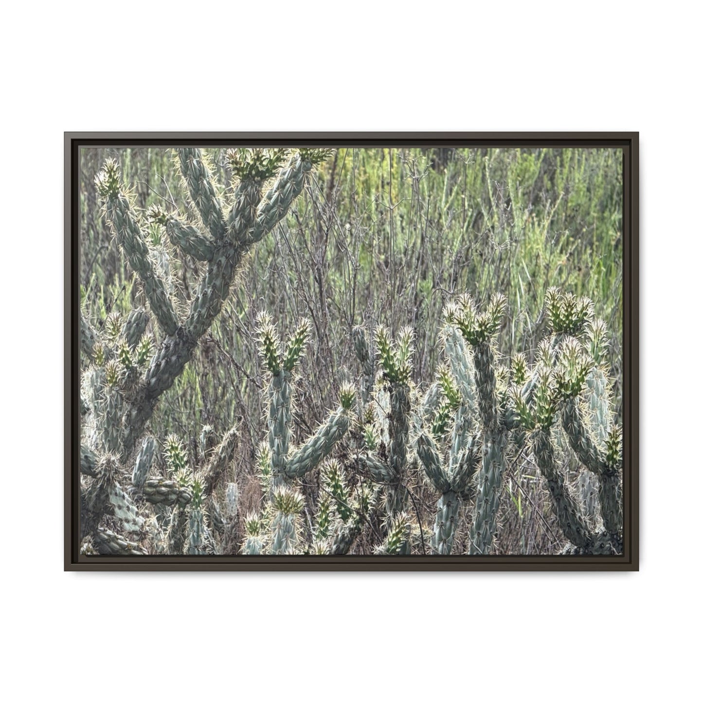 Prickly Paradise - Unique Stretched Canvas Wall Art - Art By Earth
