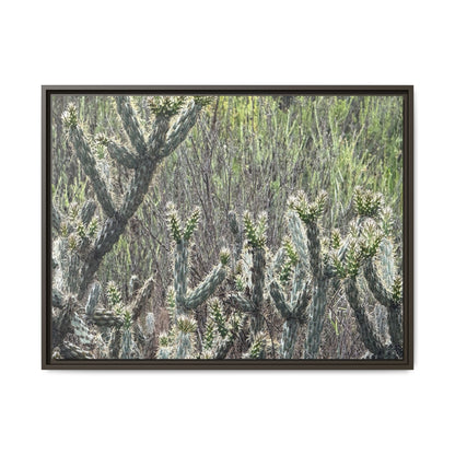 Prickly Paradise - Unique Stretched Canvas Wall Art - Art By Earth