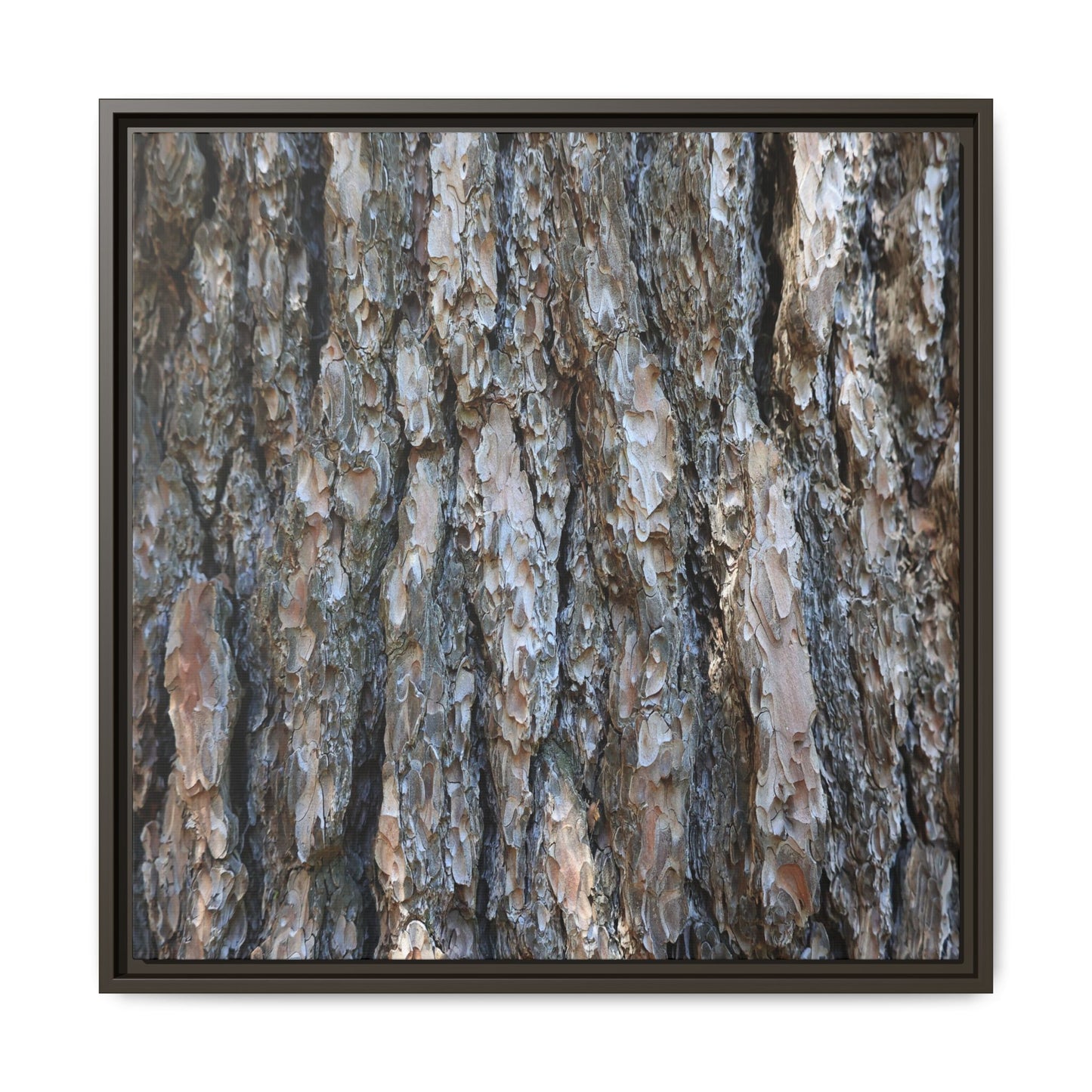 Bark Whispers - Unique Stretched Canvas Wall Art - Art By Earth