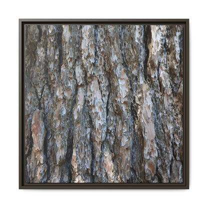 Bark Whispers - Unique Stretched Canvas Wall Art - Art By Earth