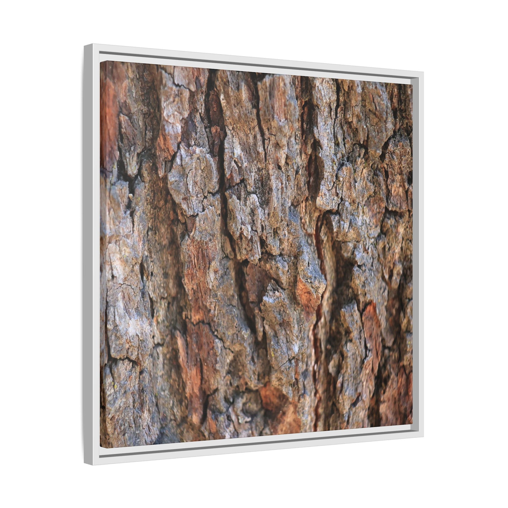 Craggy Textures - Unique Stretched Canvas Wall Art - Art By Earth