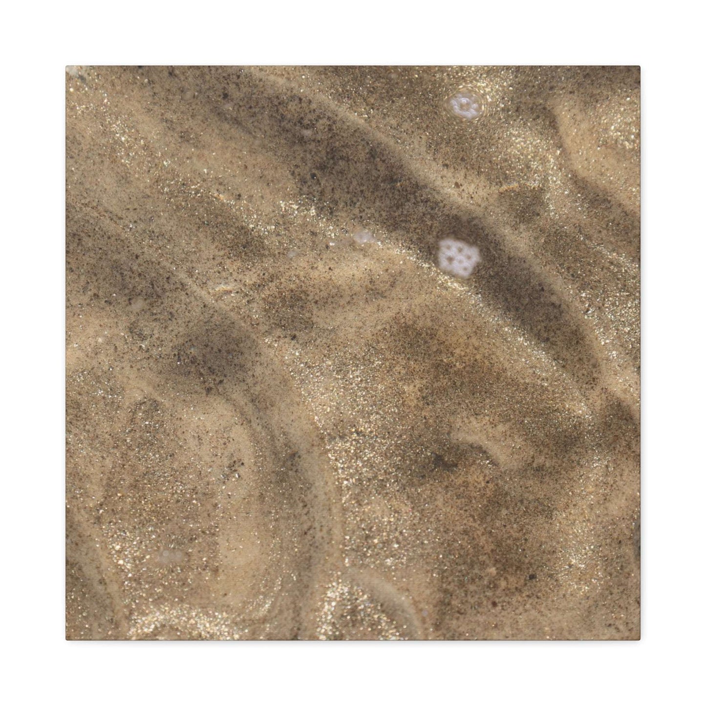 Sandy Shore Impressions - Unique Frameless Canvas Wall Art - Art By Earth