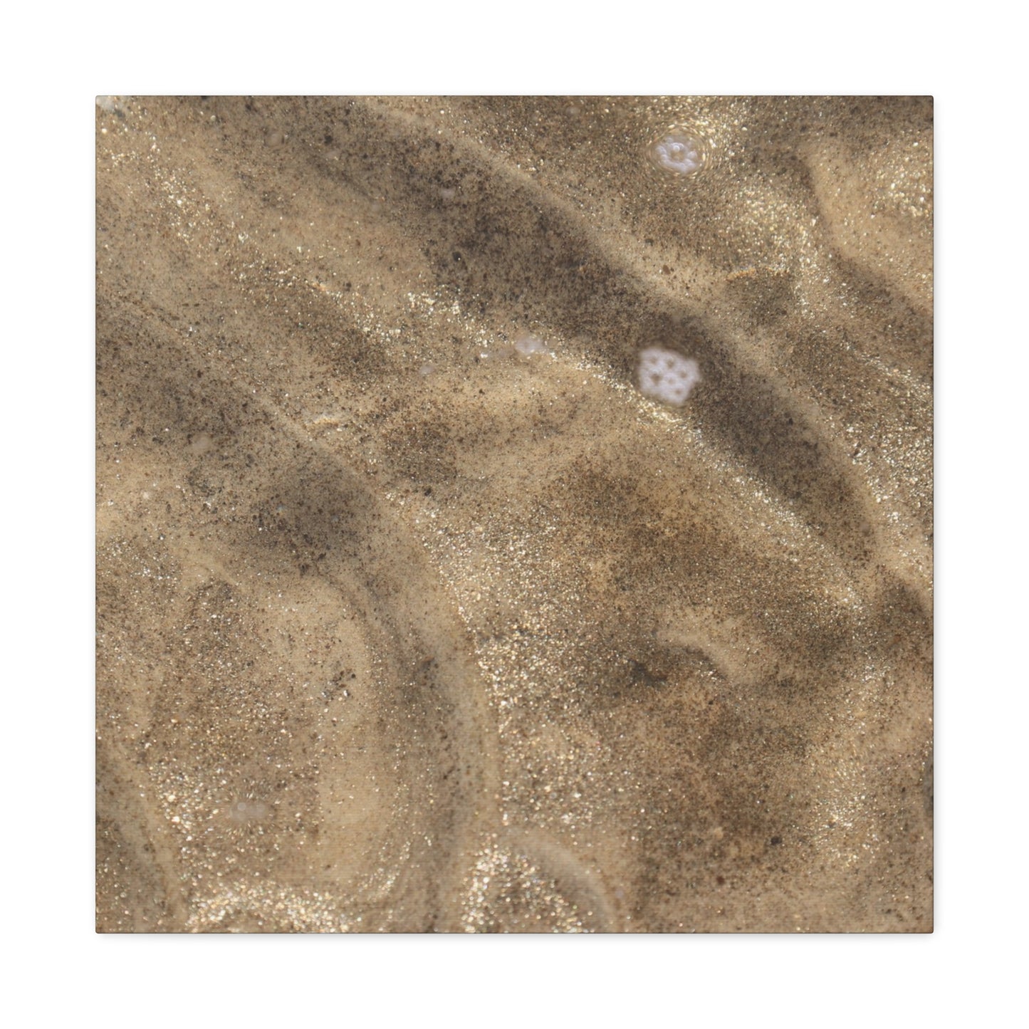 Sandy Shore Impressions - Unique Frameless Canvas Wall Art - Art By Earth