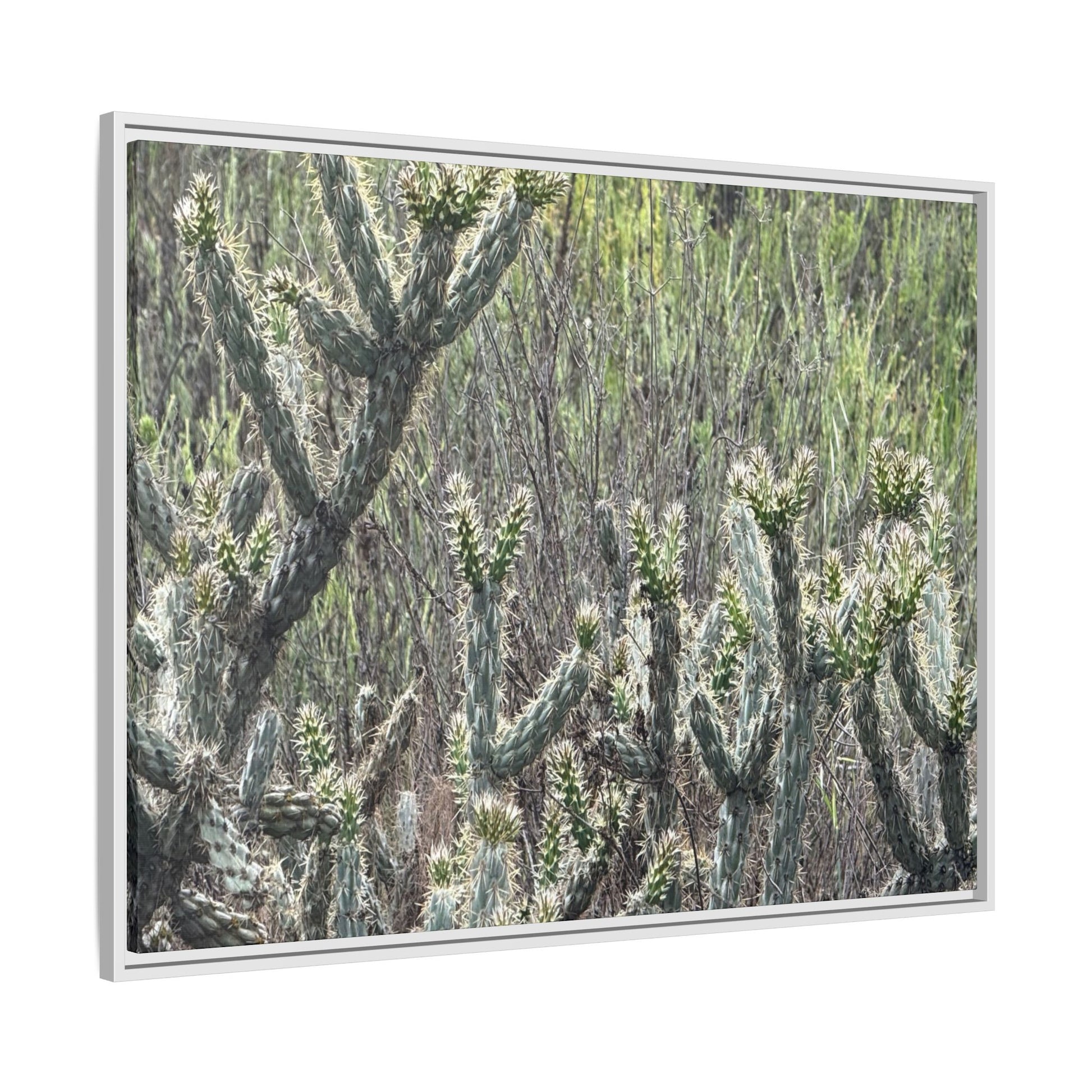 Prickly Paradise - Unique Stretched Canvas Wall Art - Art By Earth