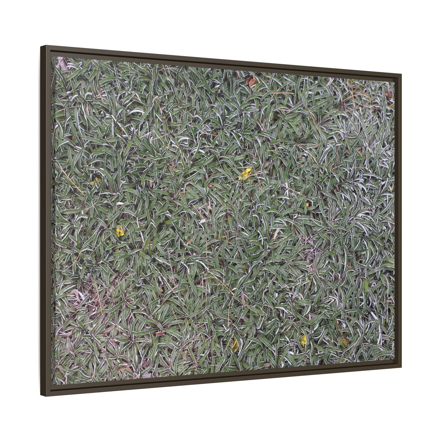 Grassy Texture - Unique Stretched Canvas Wall Art - Art By Earth
