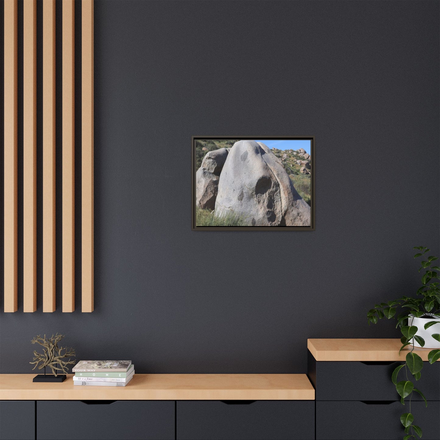 Skull Rock Desert - Unique Stretched Canvas Wall Art - Art By Earth