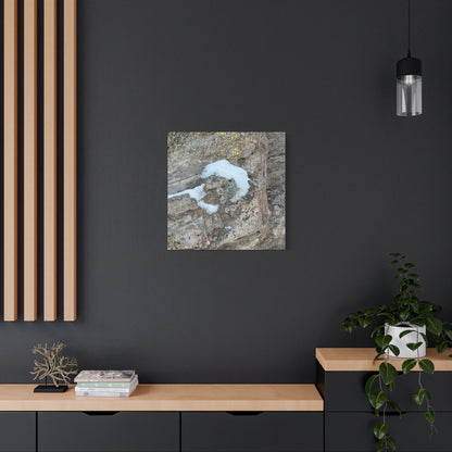 Snow on Stone - Unique Frameless Canvas Wall Art